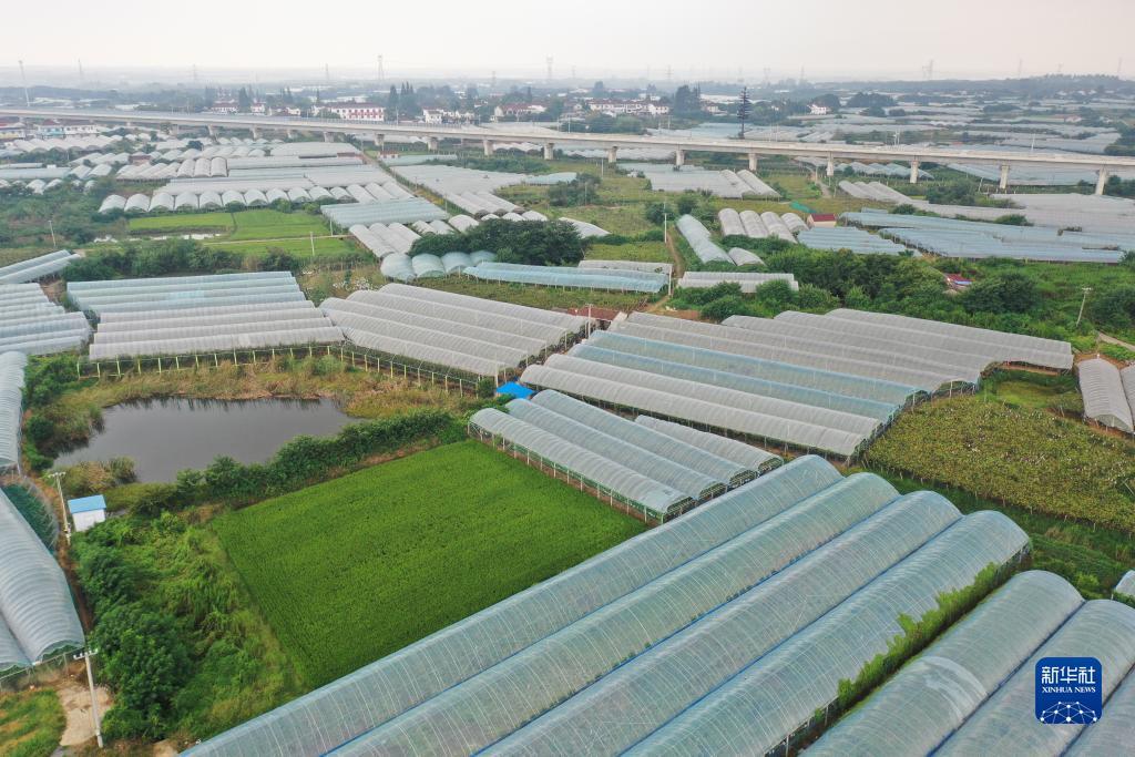 游戏充值平台
